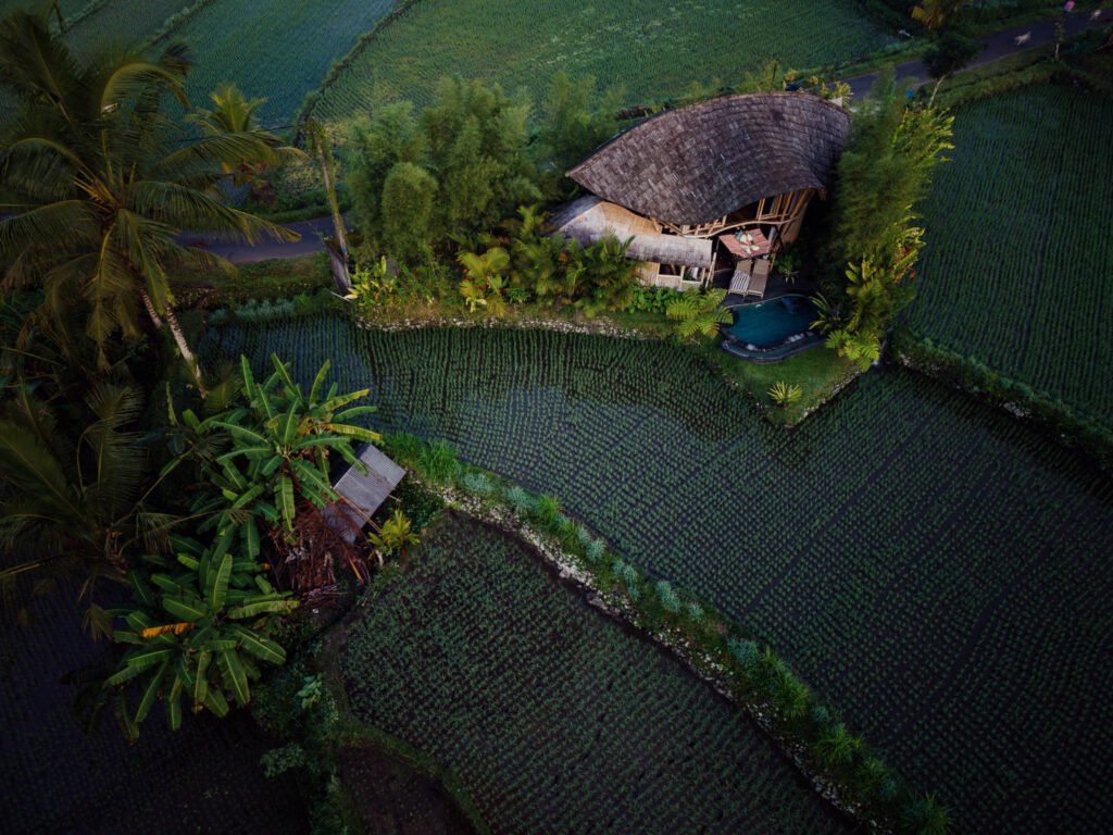 Aerial view of rice fields and bamboo house in Bali, Indonesia